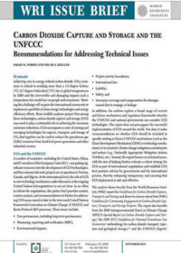 Carbon dioxide capture and storage and the UNFCCC: Recommendations for addressing technical issues