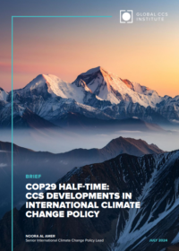 COP29 Half-Time: CCS Developments in International Climate Change Policy