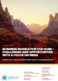 Business Models for CCS Hubs: Challenges and Opportunities with a Focus on MENA